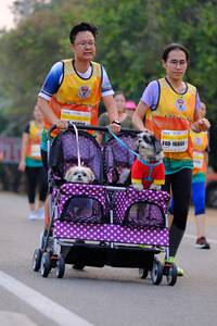 BIB: 516024, 16666
                            <button type="button" onclick="openModal(8049230)" class="btn btn-primary btn-sm float-right btn-popup" data-toggle="modal" data-target=".modal-high-quality">
                        <i class="fas fa-shopping-cart"></i> Add to Cart
                    </button>
                                            <button type="button" onclick="isThisMe(8049230, true)" class="btn btn-success btn-sm float-right btn-popup btn-isme hidden" data-toggle="tooltip" data-placement="bottom" title="นี่คือรูปของคุณใช่ไหม คลิกที่นี่เพื่อเอาเข้าอัลบั้ม">
                        <i class="fas fa-plus"></i> Add to album
                    </button>
                    <button type="button" onclick="isThisMe(8049230, false)" class="btn btn-warning btn-sm float-right btn-popup btn-isnotme hidden">
                        <i class="fas fa-ban"></i> Remove from album
                    </button>
